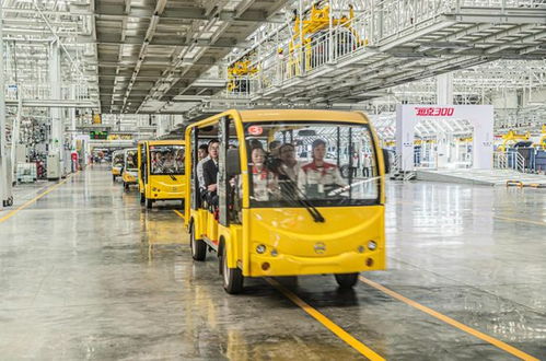 先看后試再下單，長城汽車工廠直銷特賣會狂收訂單572臺